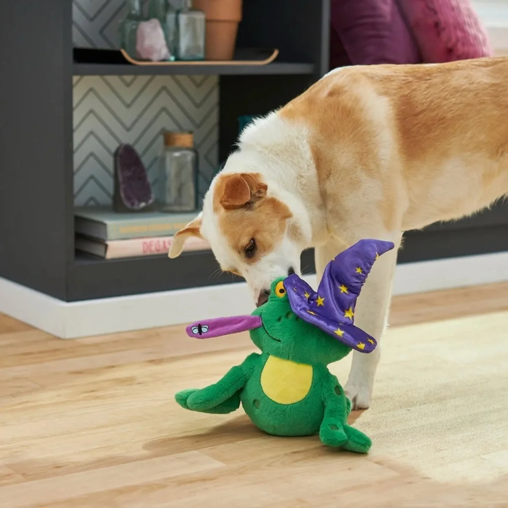 Frisco Magic Wizard Frog Plush Squeaky Dog Toy NEW